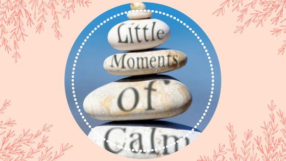 Little Moment of Calm Review